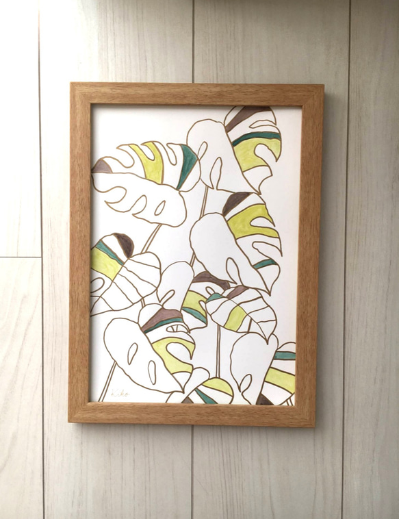 A4ポスター原画  モンステラ 4枚目の画像