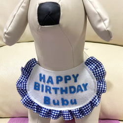 [再販] バースディ フェルトスタイ (青) ペット用　犬 猫 フリル　誕生日グッズ　チェック 4枚目の画像