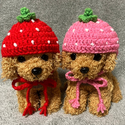 苺の帽子❤️小型犬用帽子・猫用帽子❤️ ペット服