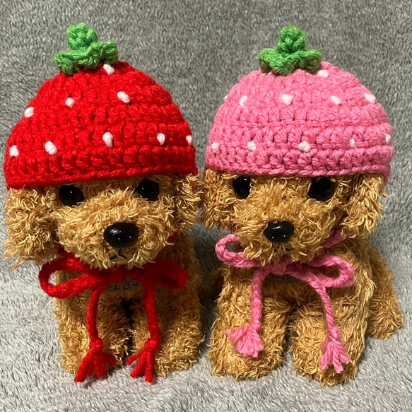 流行に  苺の帽子❤️小型犬用帽子・猫用帽子❤️ ペット服 あみぐるみ