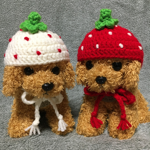 苺の帽子❤️小型犬用帽子・猫用帽子❤️ ペット服