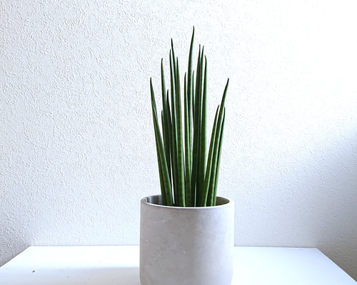 2c0af3d714d83f649e9c6869e22239