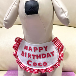 [再販］バースディ フェルトスタイ (赤) ペット用　犬 猫 フリル　誕生日グッズ　チェック 4枚目の画像