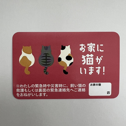 ねこ 在庫確認お願いしますページ ヤマト運輸の404ページがめちゃかわ 高速シャッフルされた