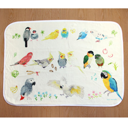 Amazon | 【 鳥専門ブリーダー考案 】 day's gift オカメインコ
