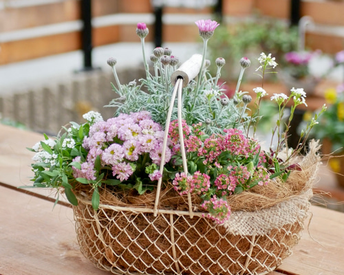 お値下げ　『poème』フリルパンジーとローダンセマムの寄せ植えバスケット 季節の花寄せ植え ローダンセマム＆フリルパンジー ハンギング