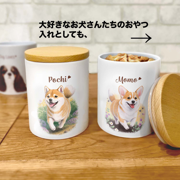 【 自然に囲まれた コーギー  】 キャニスター　保存容器　お家用　プレゼント　犬　ペット　うちの子　犬グッズ 8枚目の画像