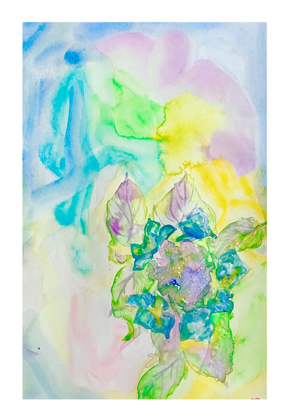 額紫陽花（ポストカード） 1枚目の画像