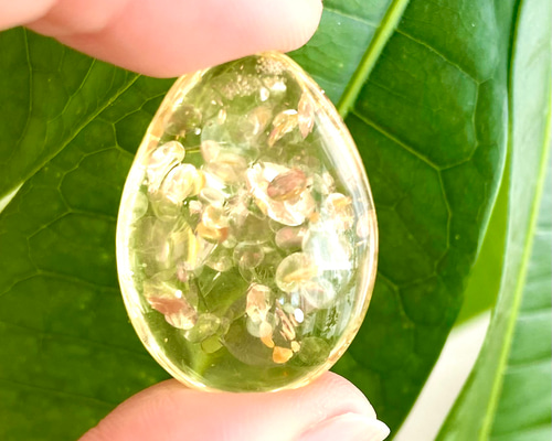 e69e16cadde8195084f661fee27945