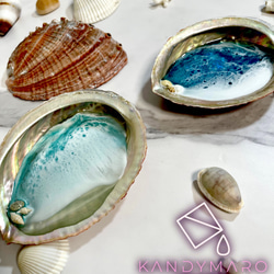 鮑のアクセサリートレイ さざ波が幻想的な海レジンアート 小物入れ