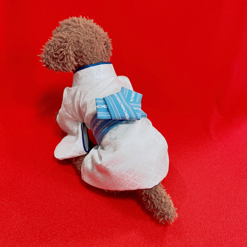 Amazon | regalo ペット用袴 犬 犬服 小型犬 袴 M ペット用
