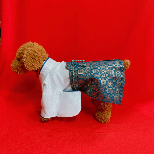 犬の袴✨犬用本格着物&袴セット 金襴 わんこ着物 白×青 犬服