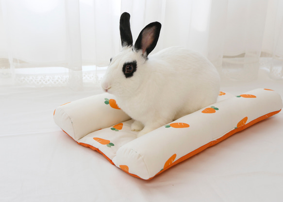 フランシュリッペ　うさぎ　クッション franche lippee - franche lippee うさぎ クッション ばなな