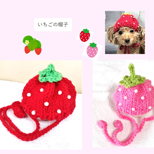 犬服 小型犬 猫ちゃん用 耳が出るいちごの帽子 パールの粒