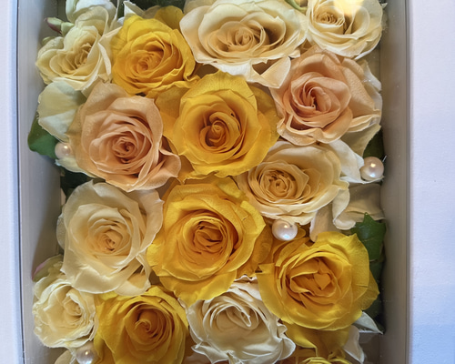 d892d19b014719b0dc64aa4fb5504c