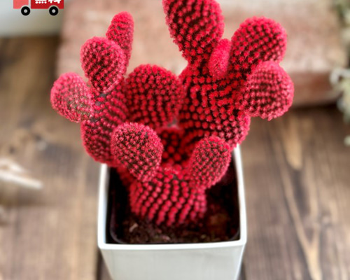 db5a5c871ce6a532a03e20e19807ef