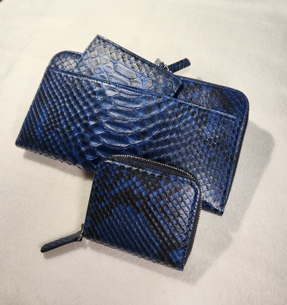 藍染パイソン「PYTHON BLUE」コインケース　バックカット 5枚目の画像