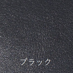 藍染パイソン「PYTHON BLUE」コインケース　バックカット 6枚目の画像