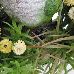 小鳥（オキナインコ）とアーティフィシャルフラワー＆グリーンのコラボアレンジ　造花　cma018 12枚目の画像