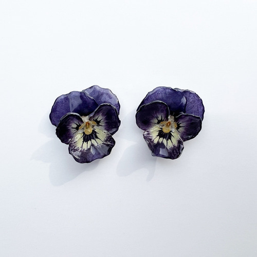 春　ビオラ ピアス　⁂　ドライフラワー 春ビオラ ピアス⁂ドライフラワー