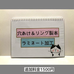 スケッチブックシアター　ひなまつりクイズ　保育　雛人形　保育教材　ひな祭り 6枚目の画像