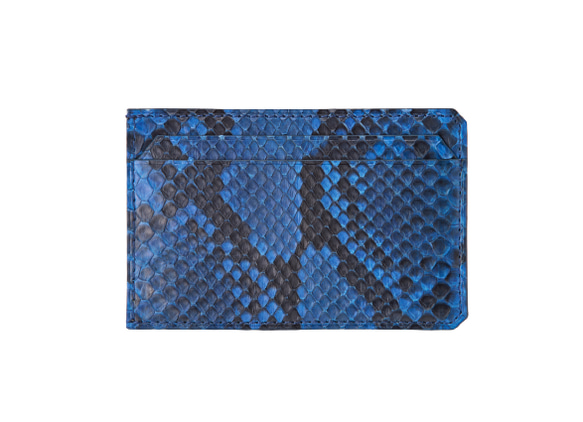 藍染パイソン「PYTHON BLUE」カードケース　フロントカット 1枚目の画像