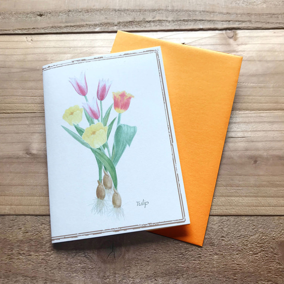 Tulip card グリーティングカード チューリップ　植物画 1枚目の画像