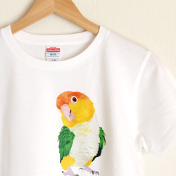 p-jet　シロハラインコ  Tシャツ　 / 鳥 インコ　再販まつり2023 2枚目の画像