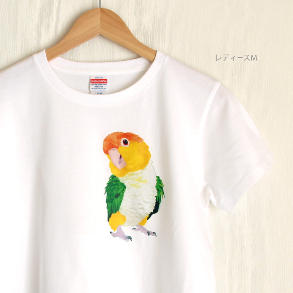 p-jet　シロハラインコ  Tシャツ　 / 鳥 インコ　再販まつり2023 1枚目の画像