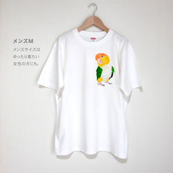 p-jet　シロハラインコ  Tシャツ　 / 鳥 インコ　再販まつり2023 6枚目の画像