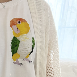 p-jet　シロハラインコ  Tシャツ　 / 鳥 インコ　再販まつり2023 9枚目の画像