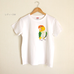 p-jet　シロハラインコ  Tシャツ　 / 鳥 インコ　再販まつり2023 4枚目の画像