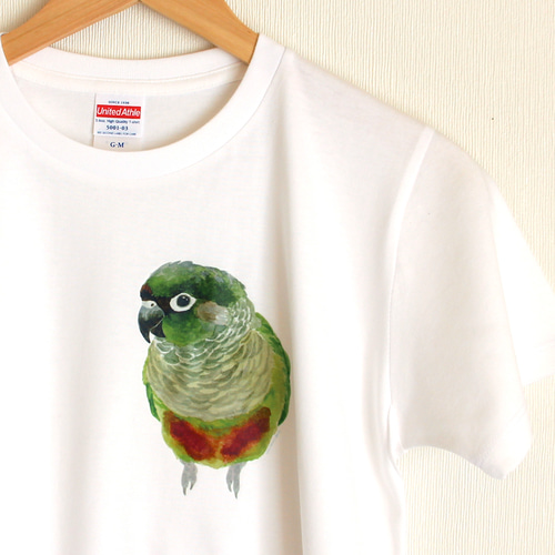 ポインコ p-jet ホオミドリアカオウロコインコ ノーマル Tシャツ / 鳥 インコ
