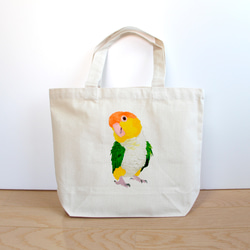 MORNインコのボディバッグブルー×イエロー未使用 imgrc0120717808.jpg