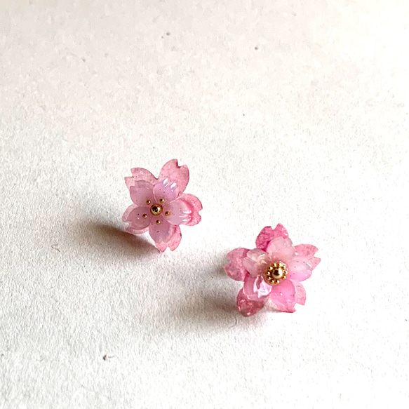 早咲き♪八重桜のピアス 7枚目の画像