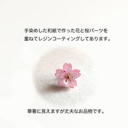 早咲き♪八重桜のピアス 2枚目の画像
