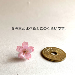 早咲き♪八重桜のピアス 3枚目の画像