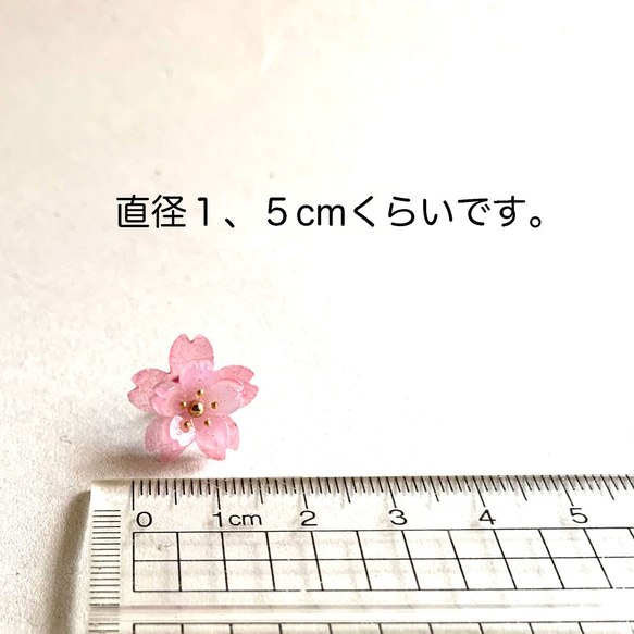 早咲き♪八重桜のピアス 4枚目の画像