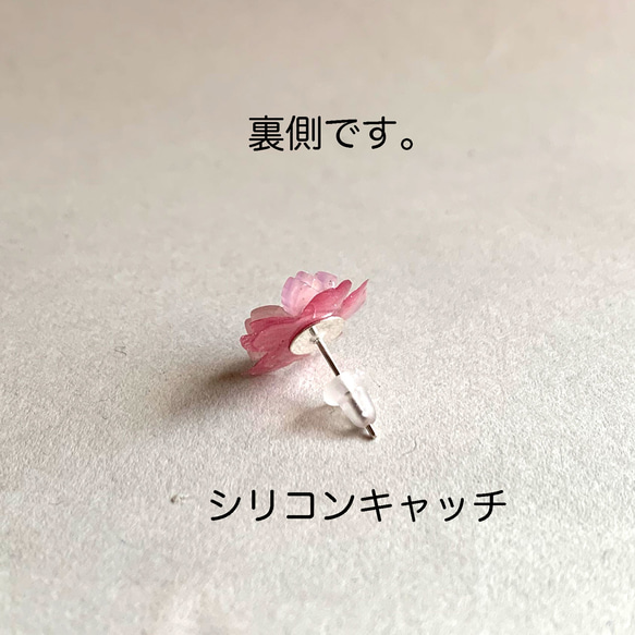 早咲き♪八重桜のピアス 5枚目の画像