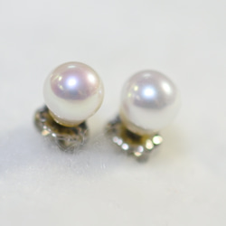 糧食耳環優質淡水珍珠（中6毫米·鈦後） 第2張的照片