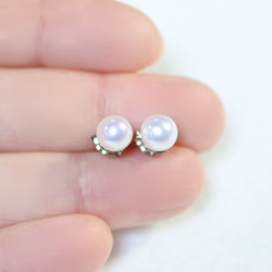 糧食耳環優質淡水珍珠（中6毫米·鈦後） 第4張的照片