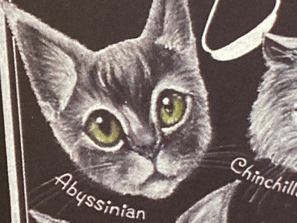 Cat Paradise ポストカード《3枚組》オイルパステル画 モノクロにゃんこ大集合 8枚目の画像