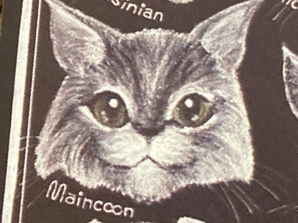 Cat Paradise ポストカード《3枚組》オイルパステル画 モノクロにゃんこ大集合 10枚目の画像