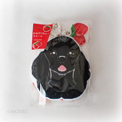 Strawberry Charm 美國可卡犬黑色 第3張的照片