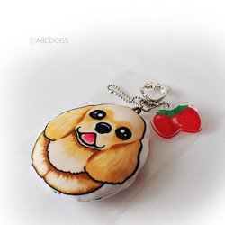 Strawberry Charm 美國可卡犬 Buff 第2張的照片