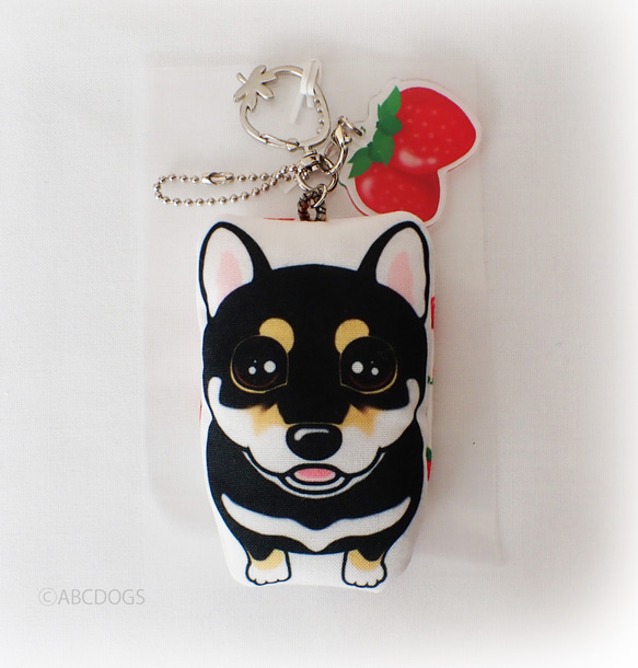 Strawberry Charm 柴犬 Black Shiba 第1張的照片