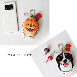 Strawberry Charm 柴犬 Black Shiba 第4張的照片