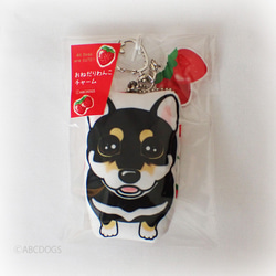 Strawberry Charm 柴犬 Black Shiba 第3張的照片