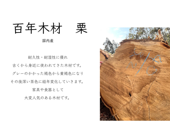 百年木材　栗のピアス　ショート 5枚目の画像