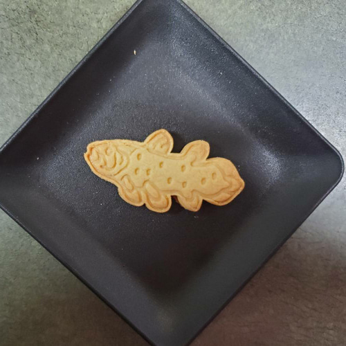 クッキー型 シーラカンス クッキー型 SAKURA LAB 通販 15439266